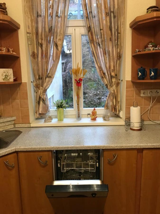 Apartman Na Zahradni Karlovy Vary Kültér fotó